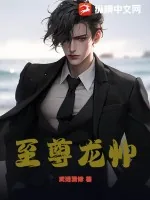 《至尊龙帅》小说封面