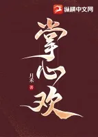 《掌心欢》小说封面