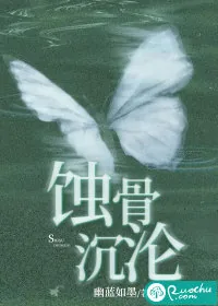 《蚀骨沉沦》小说封面