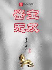 《鉴宝无双》小说封面