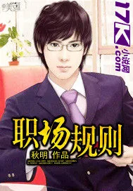 《职场规则》小说封面