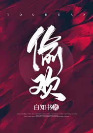 《偷欢》小说封面
