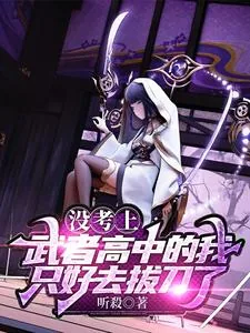 《没考上武者高中的我只好去拔刀了》小说封面
