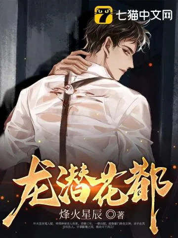 《龙潜花都》小说封面