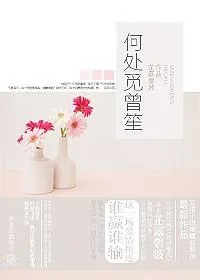 《何处觅曾笙》小说封面
