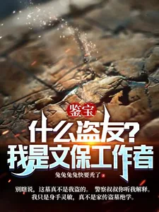 《鉴宝：什么盗友？我是文保工作者》小说封面