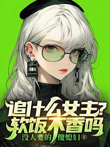 《追什么女主？软饭不香吗》小说封面