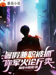 《暑假兼职被抓，你军火论斤卖？》小说封面