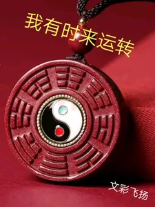《我有时来运转》小说封面