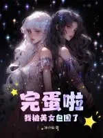 《完蛋啦！我被美女包围了》小说封面