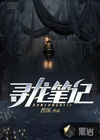 《寻龙笔记》小说封面