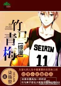 《[综漫]竹马青梅》小说封面