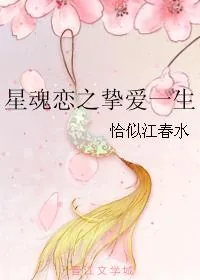 《星魂恋之挚爱一生》小说封面