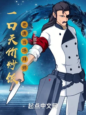 《一口天价炒饭，老唐当场拜师》小说封面