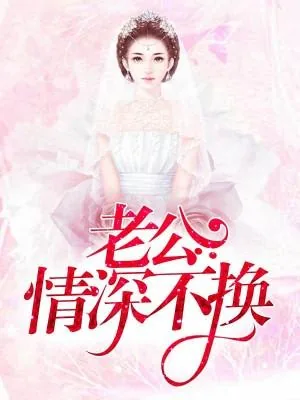 《老公情深不换》小说封面