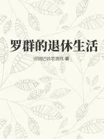 《罗群的退休生活》小说封面
