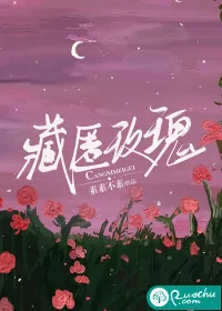 《藏匿玫瑰》小说封面