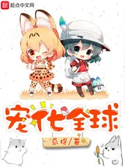 《宠化全球》小说封面