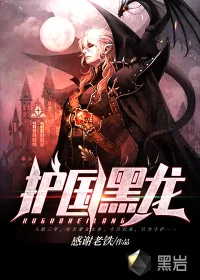 《护国黑龙》小说封面