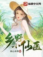 《乡野小仙医》小说封面