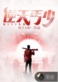 《逆天丐少》小说封面