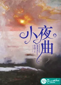 《小夜曲》小说封面