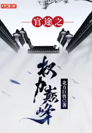 《官途之权力巅峰》小说封面