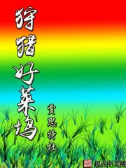 《狩猎好莱坞》小说封面