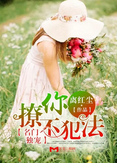 《名门独宠，撩你不犯法》小说封面