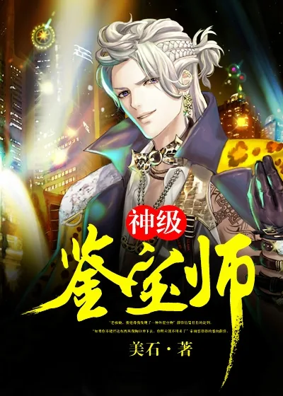 《神级鉴宝师》小说封面