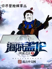 《海贼盖伦》小说封面