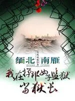 《缅北南雁，我在掸邦女子监狱当狱长》小说封面