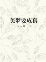 《美梦要成真》小说封面