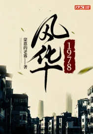 《风华1978》小说封面