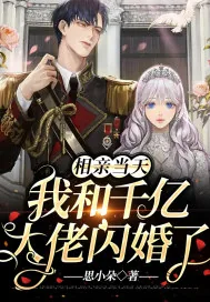 《相亲当天，我和千亿大佬闪婚了》小说封面