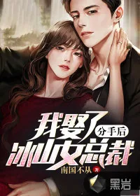 《分手后，我娶了冰山女总裁》小说封面