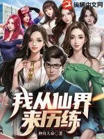 《我从仙界来历练》小说封面