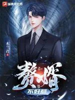 《赘婿不好惹》小说封面