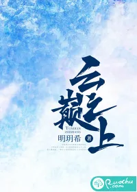 《云巅之上》小说封面