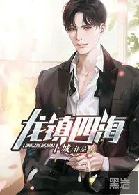 《龙镇四海》小说封面