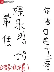 《最佳娱乐时代》小说封面