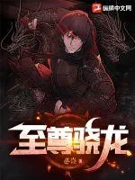 《至尊骁龙》小说封面