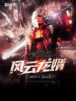 《风云龙婿》小说封面