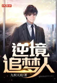 《逆境追梦人》小说封面