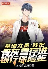 《墓地太贵：我把骨灰盒存进银行保险柜》小说封面