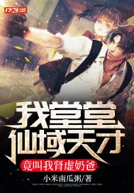 《我堂堂仙域天才，竟叫我肾虚奶爸》小说封面