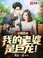《全职奶爸，我的老婆是巨龙》小说封面