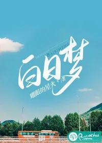 《白日梦》小说封面