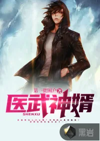 《医武神婿》小说封面