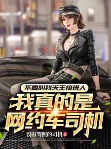 《开着网约车唱着歌,女明星请上车》小说封面